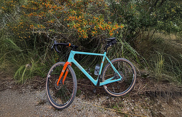 Budistes de tranquis amb la gravel