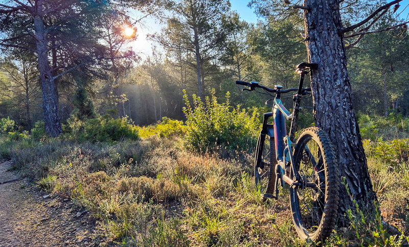Rockshox Monarch RL revisada