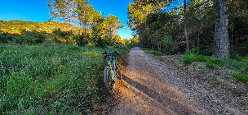 Olivella amb la gravel
