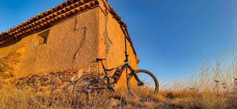Buscando más sendericos en los pinares de Daroca